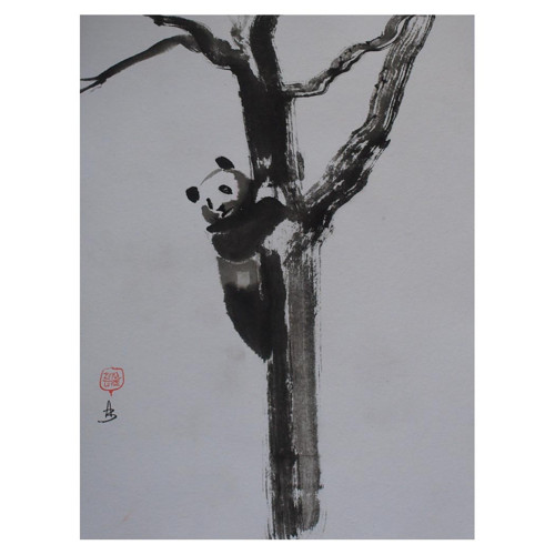 Panda na stromě — foto 1