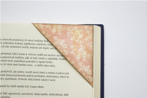 Růžový kvítek — foto 1