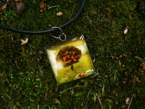 Ilustrace..3 — foto 1