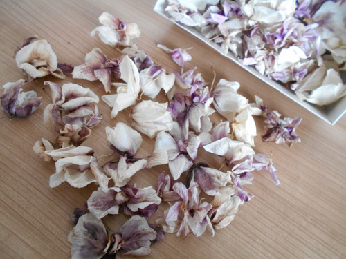 Květy orchideje - mix - SLEVA — foto 1