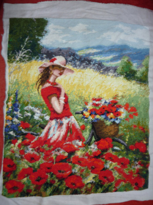 Vlčí máky — foto 1