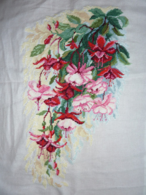 Fuchsie — foto 1
