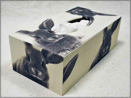 Králíček — foto 1
