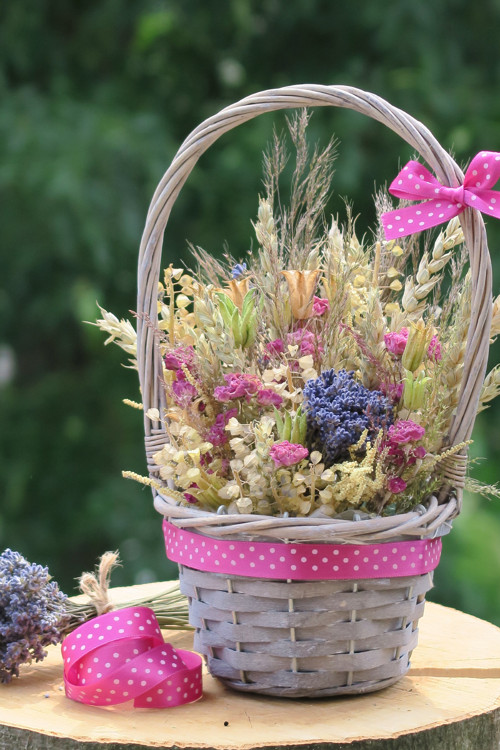 Provence... — foto 1
