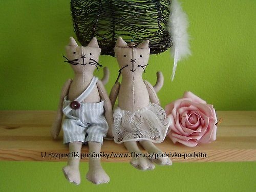 Banda kočičí — foto 1