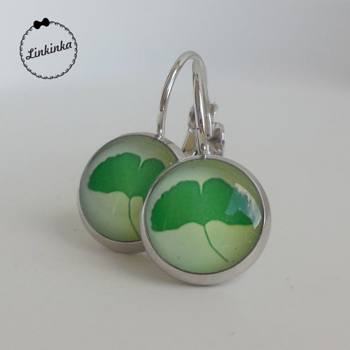 Ginkgo biloba — foto 1