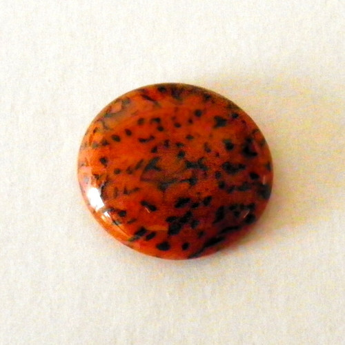 Kabošon 681 — foto 1