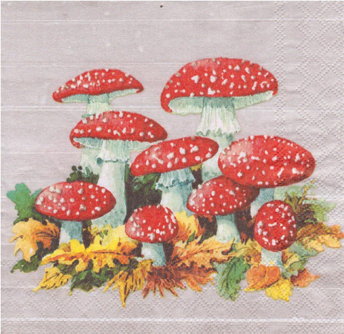 Ubrousek - muchomůrky červené