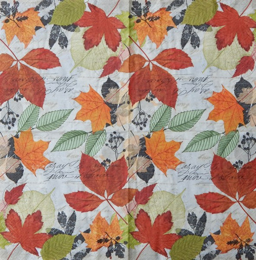 Herbarium 285 — foto 1