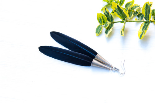 Black Wings — foto 1