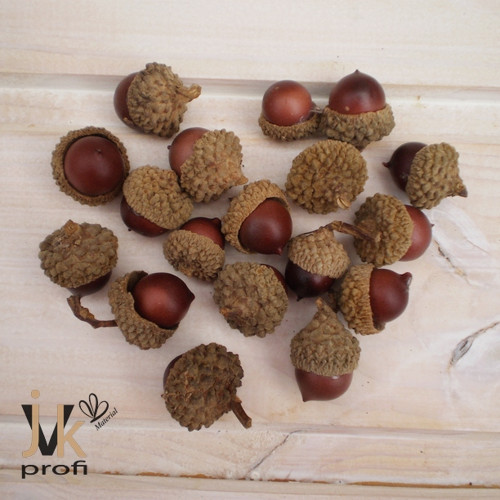 Žaludy menší - hnědé — foto 1