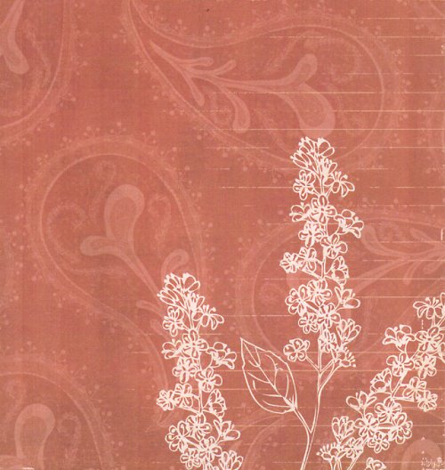 Bella Bella by Carina Garner 23 -scrapbook — foto 1