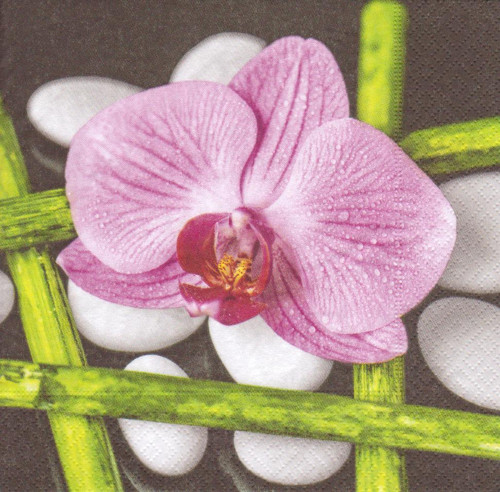 Ubrousek - orchidej, bambus a kameny — foto 1