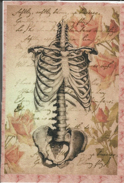 Bavlněná látka - panel 8,5 x 12,5 cm