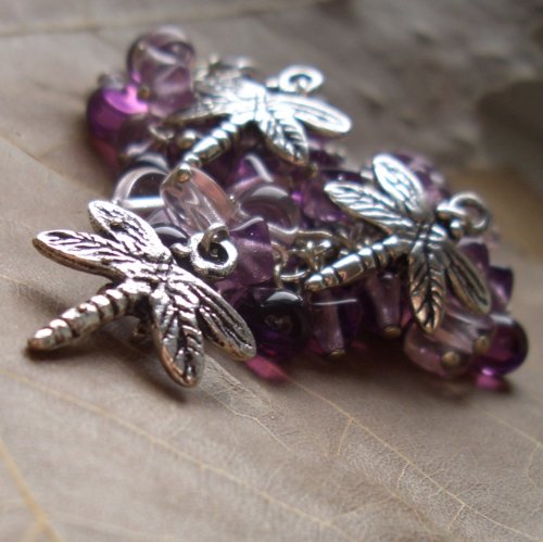 Sleeping Dragonflies — foto 1