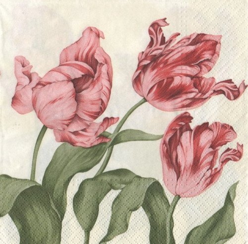 Papírový ubrousek,tulipán,květina, růžová,2 kusy