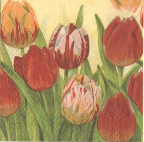 Papírový ubrousek,tulipány,pole,tulipán,2kusy