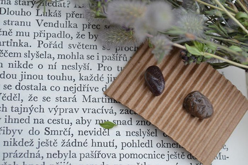 Milovat tu zem - náušnice — foto 1