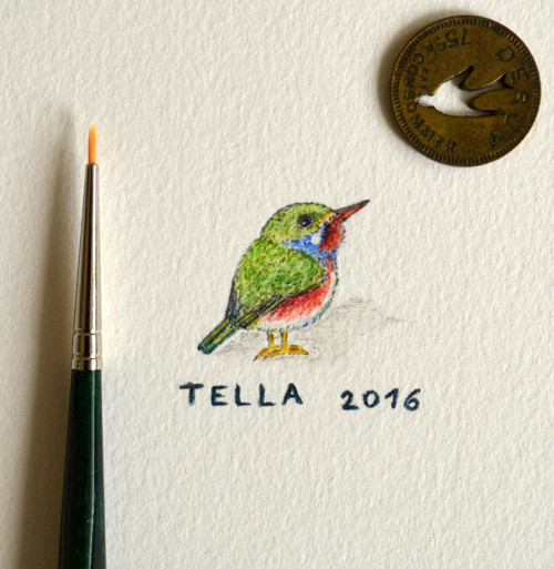 Todi (miniatura) — foto 1