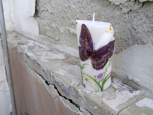 Svíčka archa 16 x 8 cm - Motýl