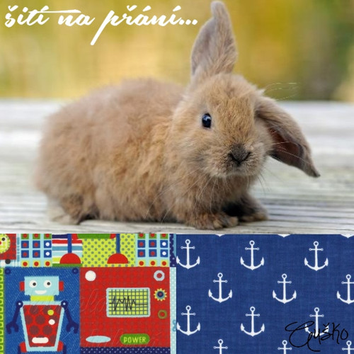 Sada na přání ... plenkovníky + slintáčky — foto 1
