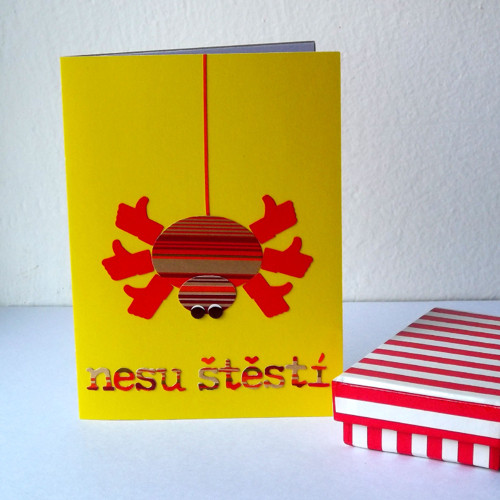 Pavouček pro štěstí — foto 1