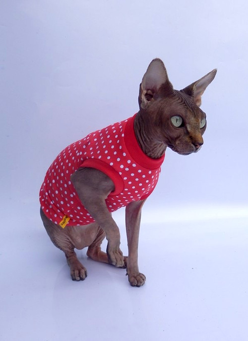 Tričko pro sphynxíky - červené — foto 1