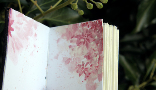 Little black book — foto 1