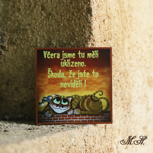 Včera jsme tu měli....kočka a myš - magnetka