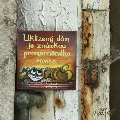 Uklizený dům....kočka a myš - magnetka