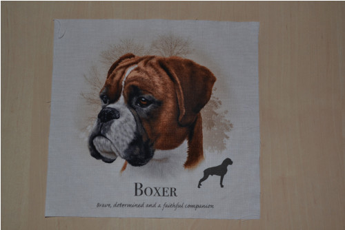Panel psí - boxer — foto 1
