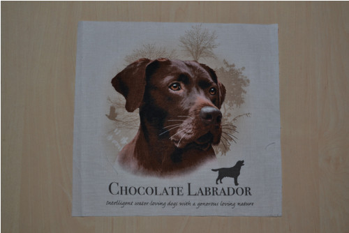 Panel psí - hnědý labrador — foto 1