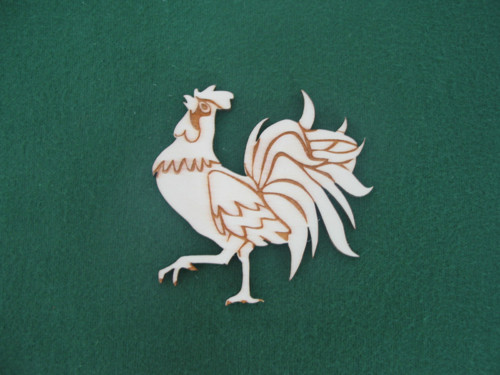 Kohout