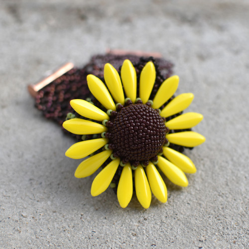 Echinacea Paradoxa — foto 1