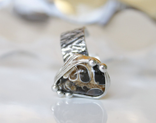 Cobra .. (turritella) — foto 1