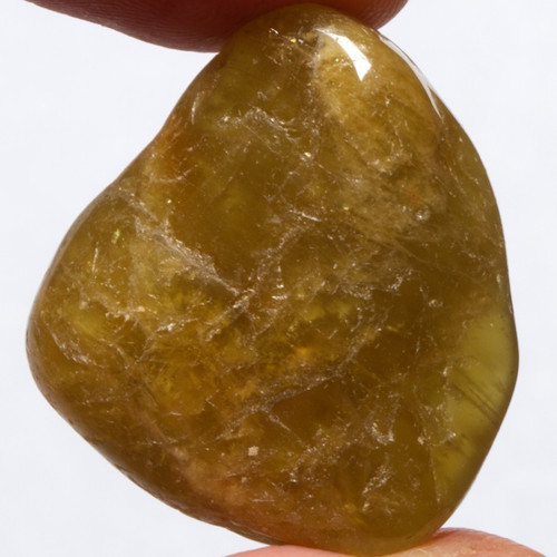 Beryl — foto 1