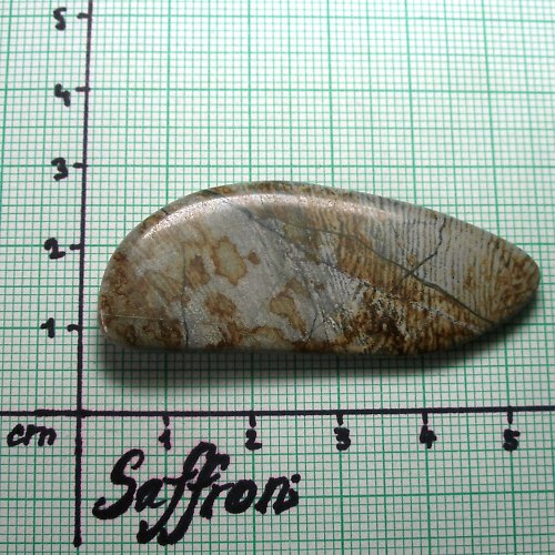 Stromatolit -Mítov ČR č1 — foto 1