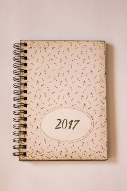 Poupátka - DIÁŘ 2017 — foto 1