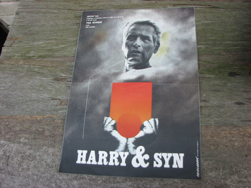 Harry a syn...filmový plakát — foto 1