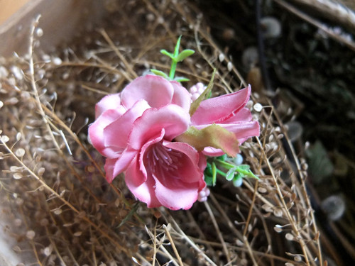 Růžové plané růže na sponečce — foto 1