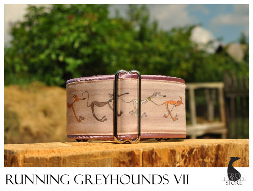 Running Greyhounds VII — foto 1