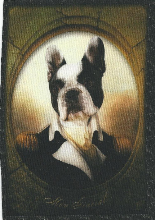 Bavlněná látka - panel 8,5 x 13 cm