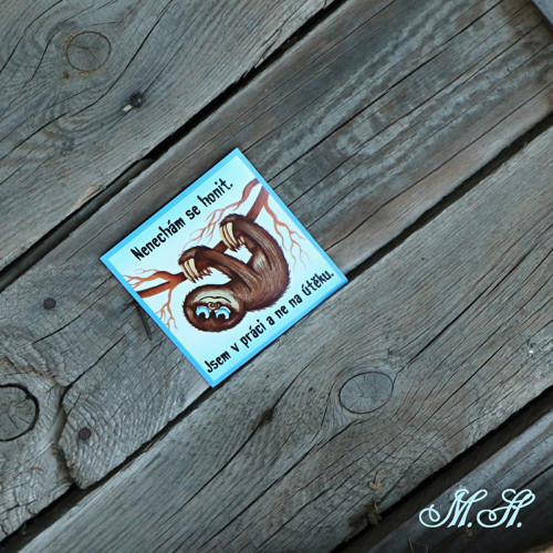 Nenechám se honit.... - magnetka-lenochod — foto 1