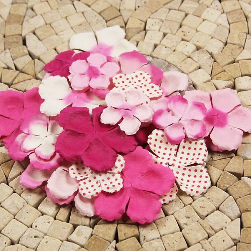 E Line Flovers Fuchsia 300876 - scrapbook — foto 1