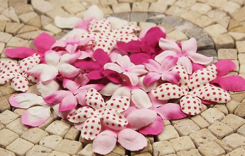 E Line Flovers Fuchsia 300913 - scrapbook — foto 1