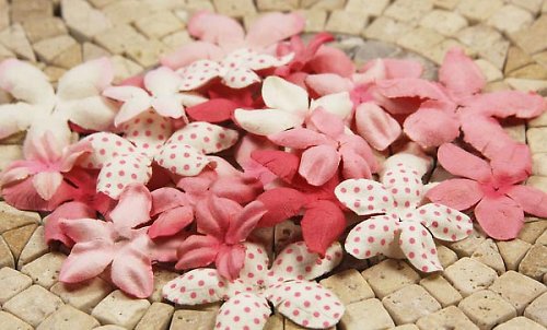 E Line Flovers Pink 300944 - scrapbook — foto 1