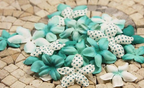 E Line Flovers Aqua 300937 - scrapbook — foto 1