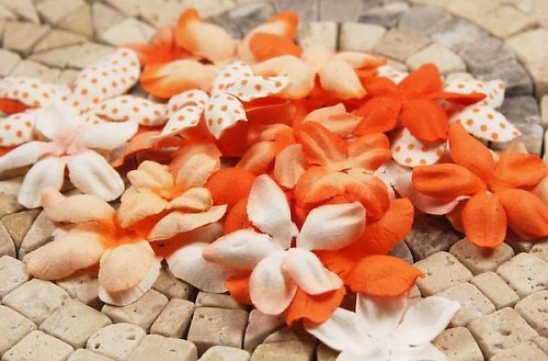 E Line Flovers Orange 300906 - scrapbook — foto 1