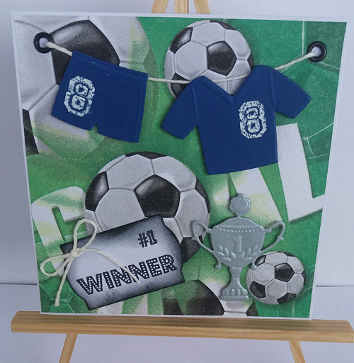 Pro fotbalistu 1 — foto 1
