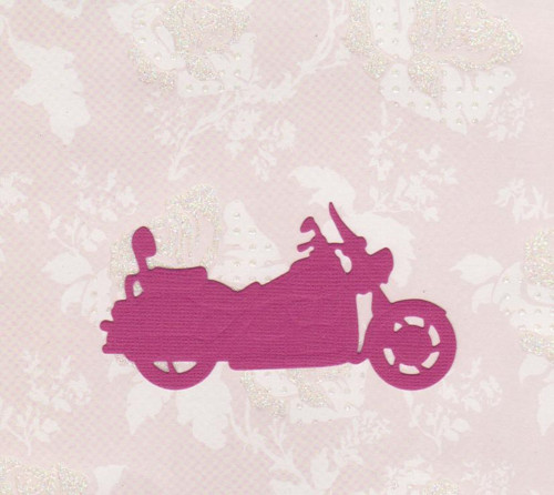 Motorka - ostružinový výsek (2 ks)